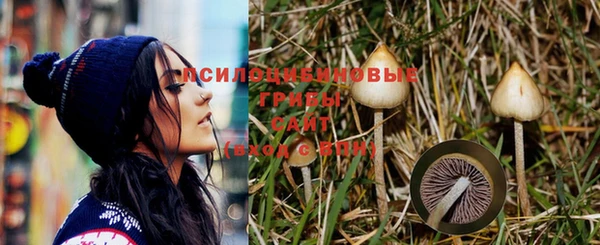 мдпв Пестово